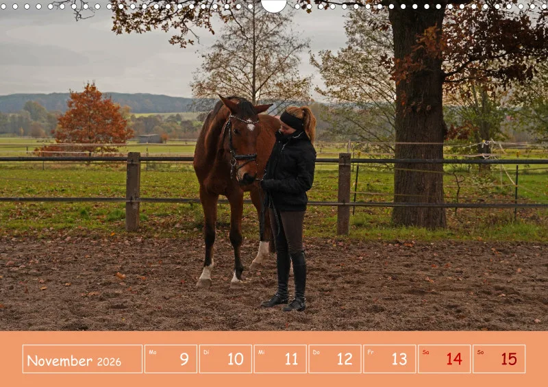 2026 A3 Faszination Reitsport - Wochenkalender