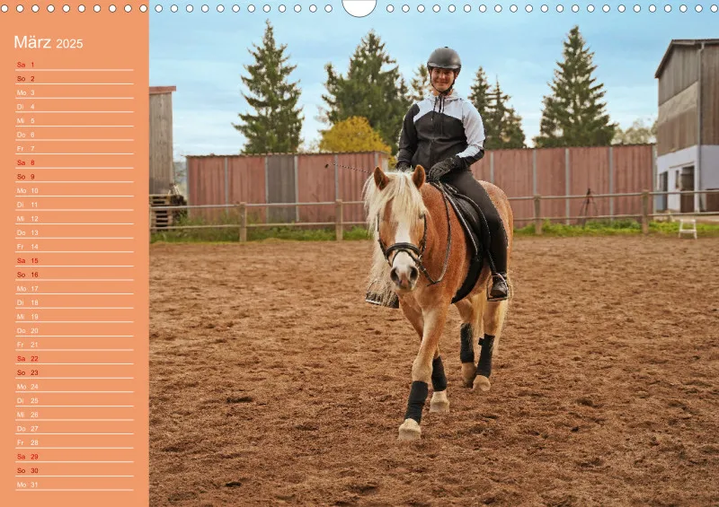 2025 A3 Haflinger Mifisto und Reiterin