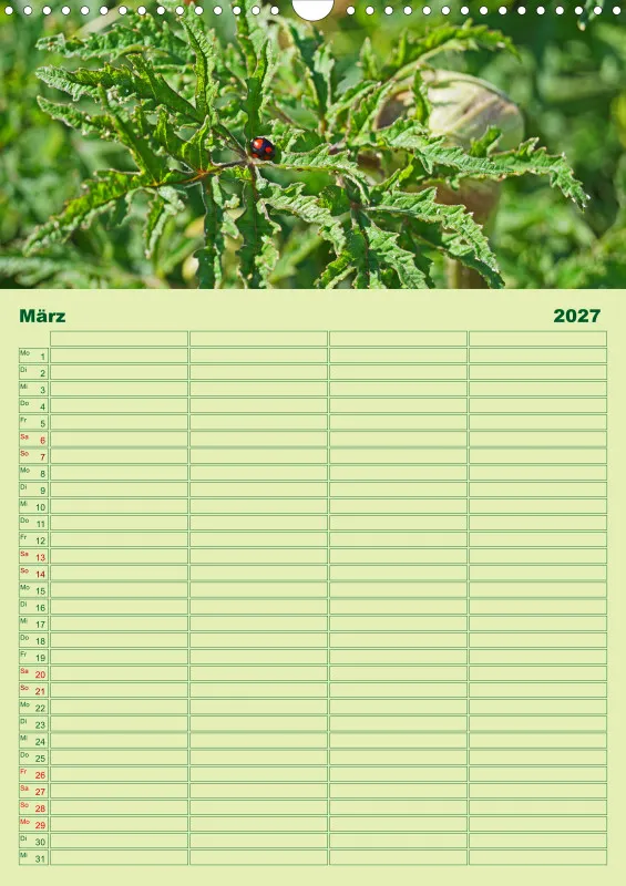 2027 A3 Planer Farbzauber Natur - Grün