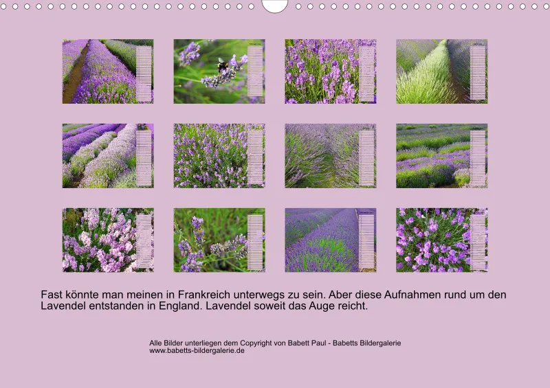 2026 A3 Terminplaner Farbzauber Lavendel