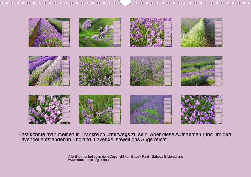 2026 A3 Terminplaner Farbzauber Lavendel