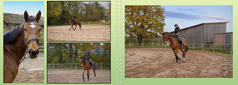 Fotoalbum A4 - Faszination Reitsport