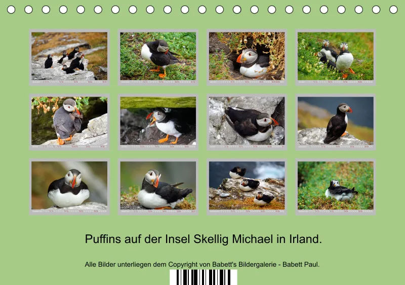 2027 Tischkalender A5 Papageitaucher - Kleine Vögel ganz groß!