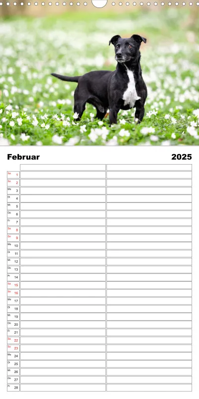 Familienplaner 2 Spalten
