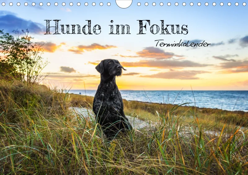 Terminkalender A4