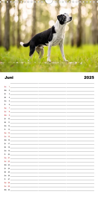 Familienplaner 3 Spalten