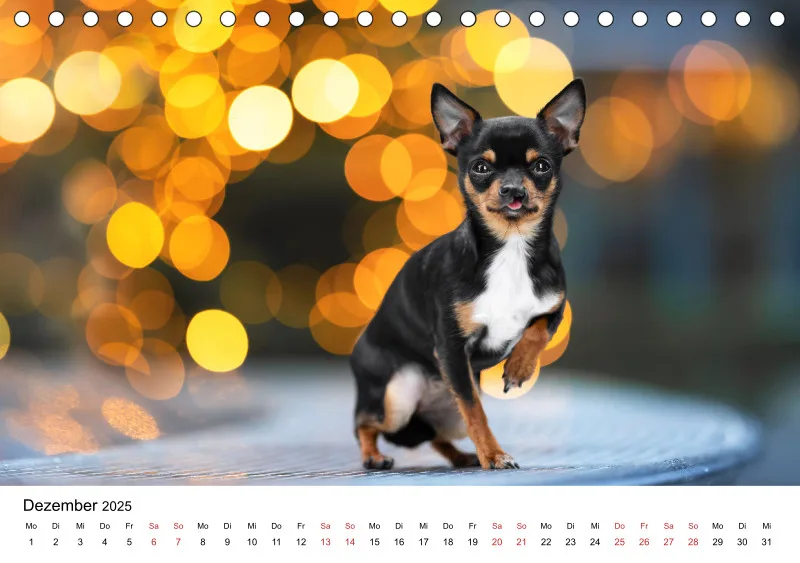 Tischkalender Berlin City Dogs