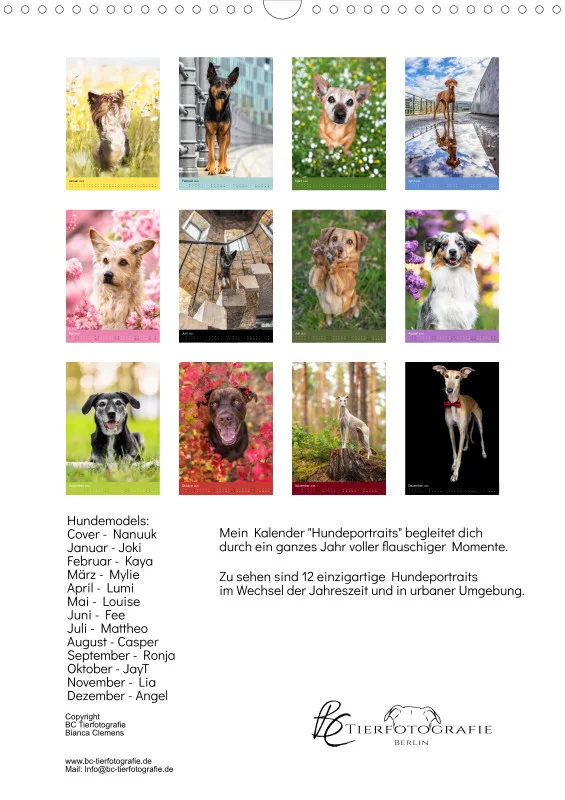 Hundeportraits A3