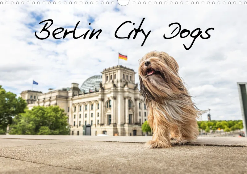 Berlin City Dogs A3