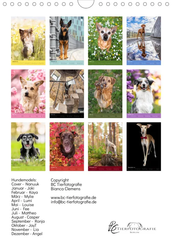 Hundeportraits A4