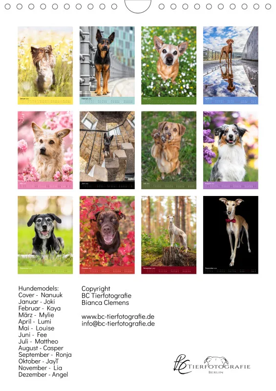 Hundeportraits A4