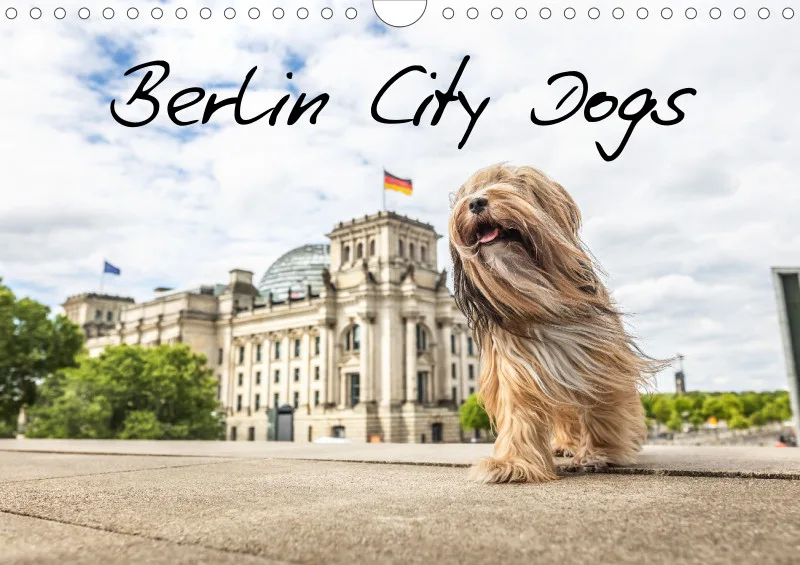 Berlin City Dogs A4