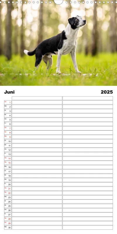 Familienplaner 2 Spalten
