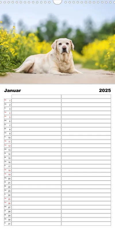 Familienplaner 2 Spalten
