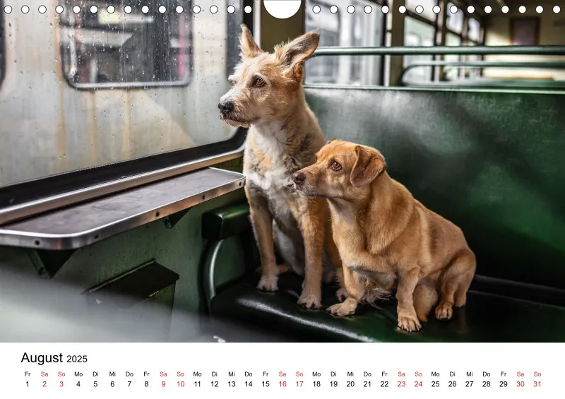 Berlin City Dogs A4