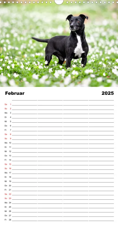 Familienplaner 4 Spalten