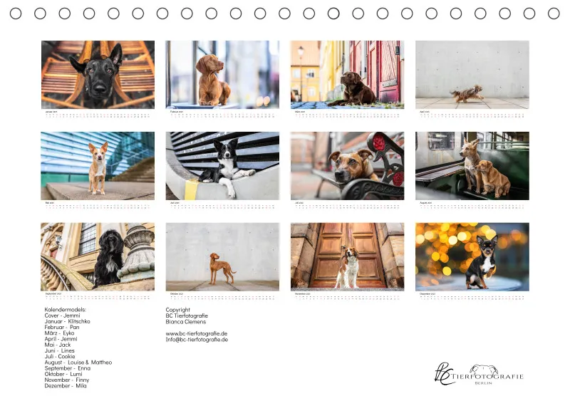 Tischkalender Berlin City Dogs