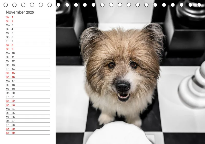Terminkalender A5