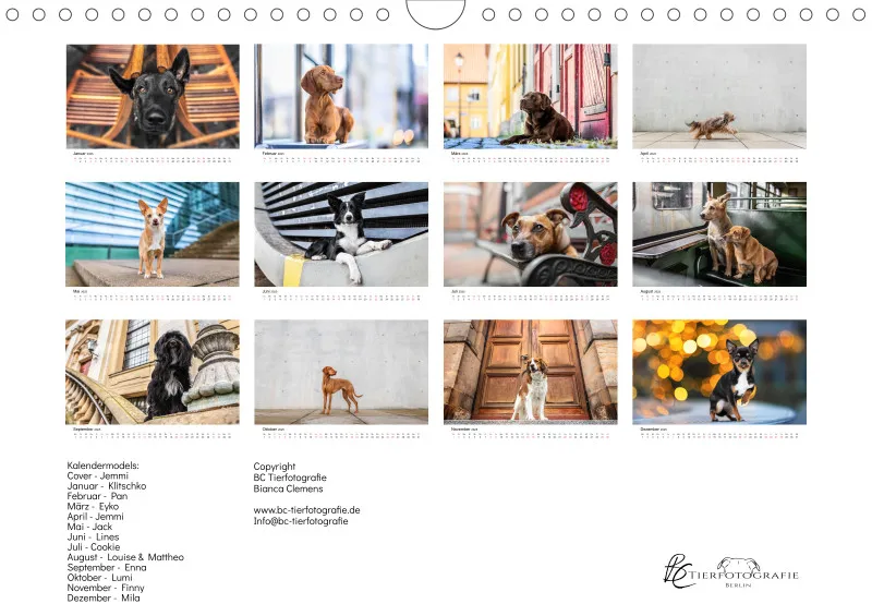 Berlin City Dogs A4