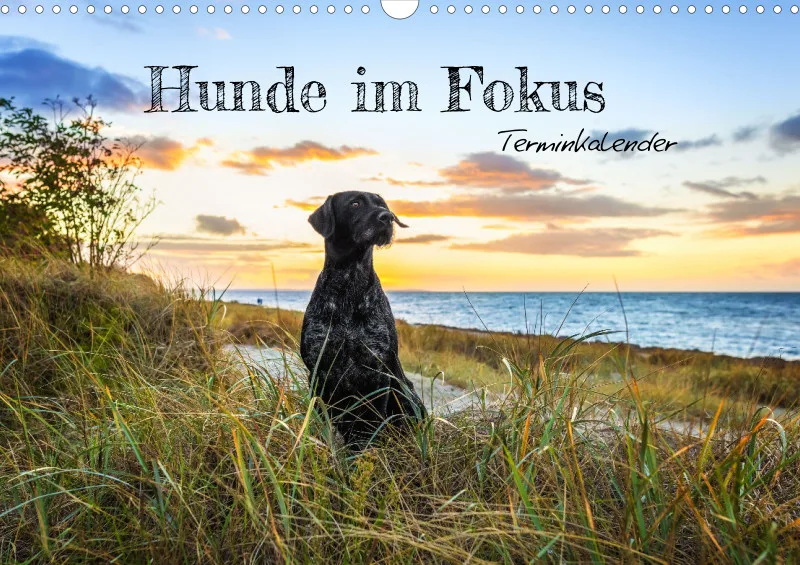 Terminkalender A3
