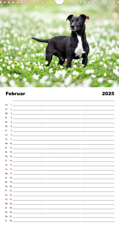 Familienplaner 3 Spalten