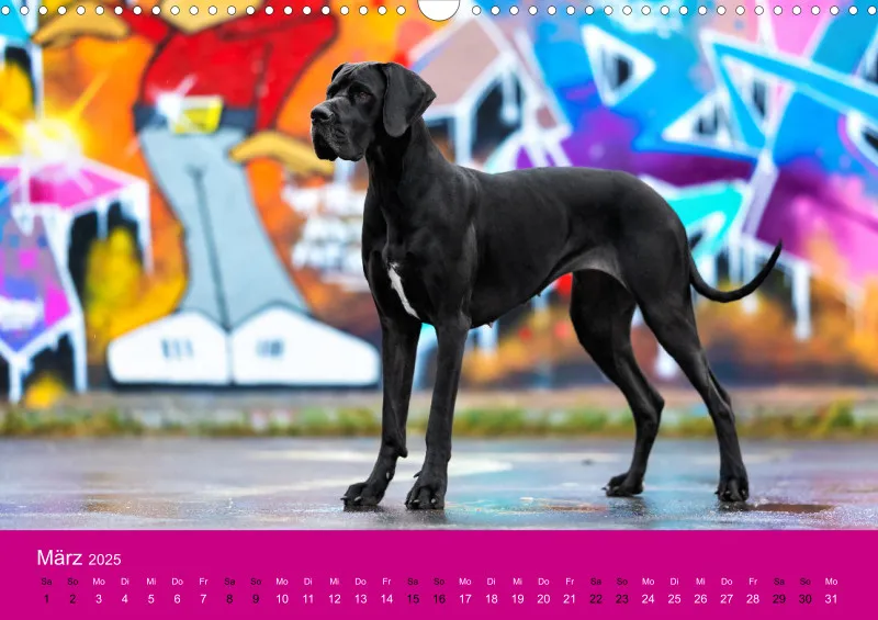 Hunde im Fokus A3