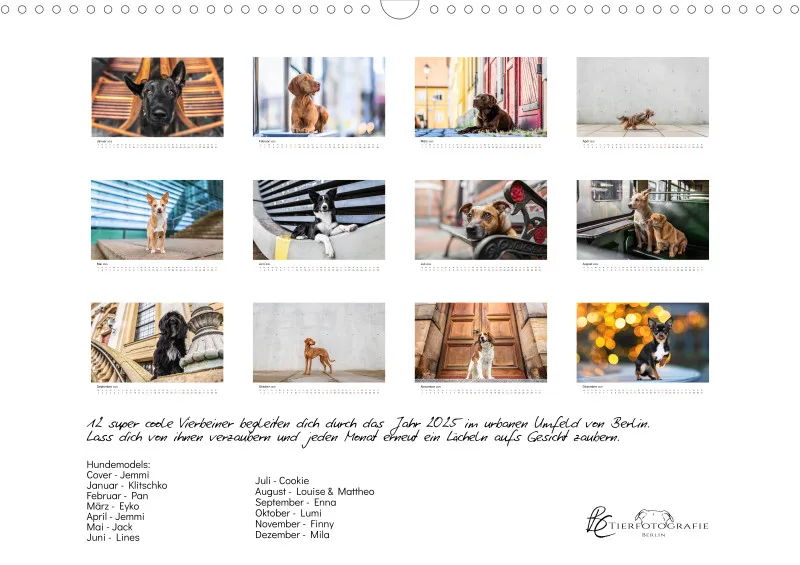 Berlin City Dogs A3