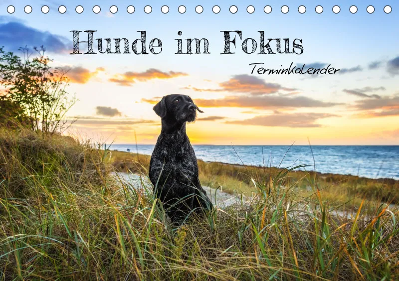 Terminkalender A5