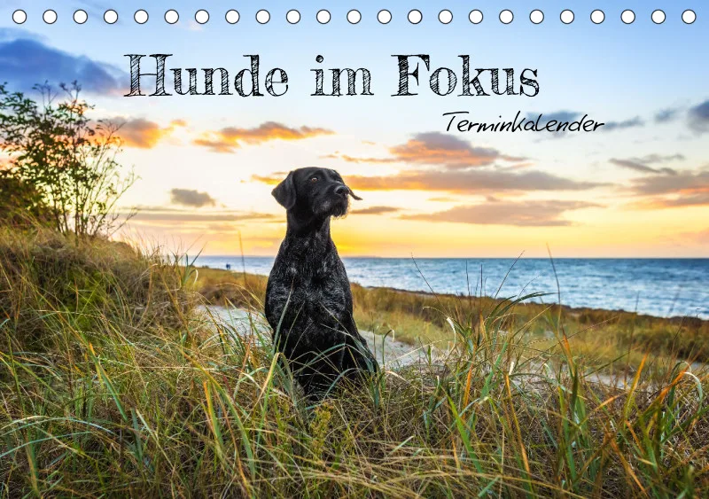Terminkalender A5