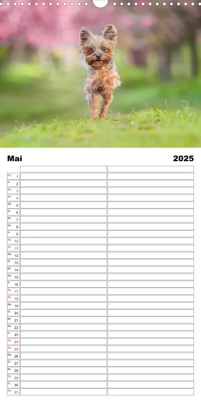 Familienplaner 2 Spalten