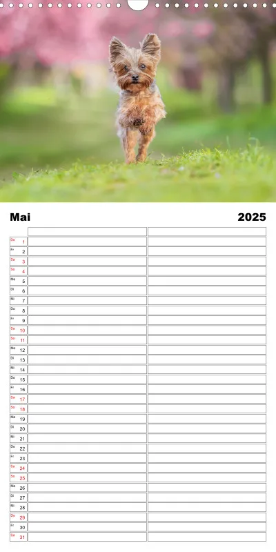 Familienplaner 2 Spalten