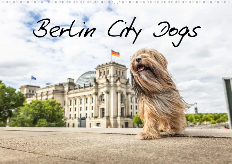 Berlin City Dogs A2