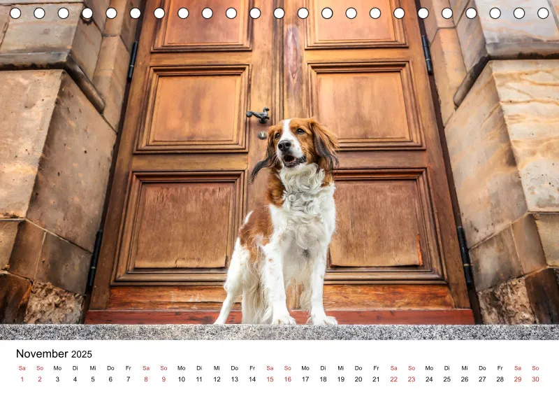 Tischkalender Berlin City Dogs