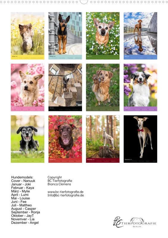 Hundeportraits A2