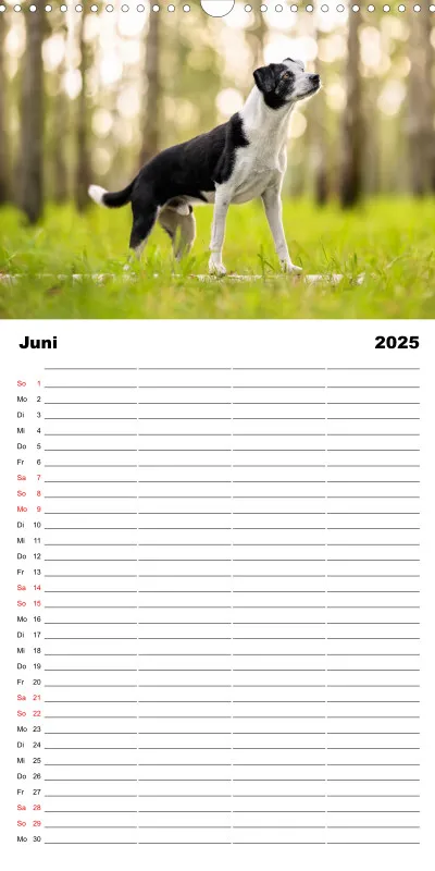 Familienplaner 4 Spalten