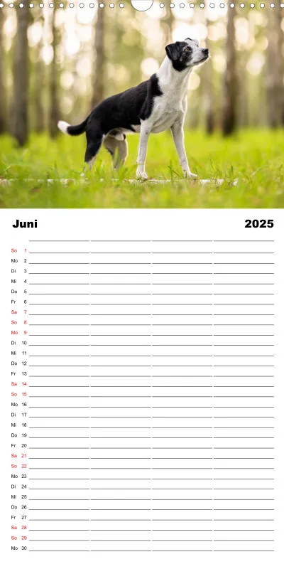 Familienplaner 4 Spalten