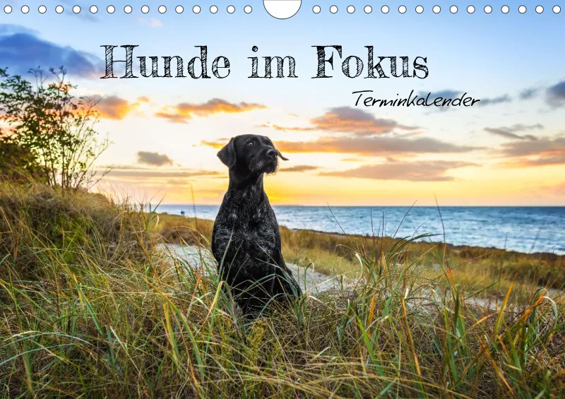 Terminkalender A4