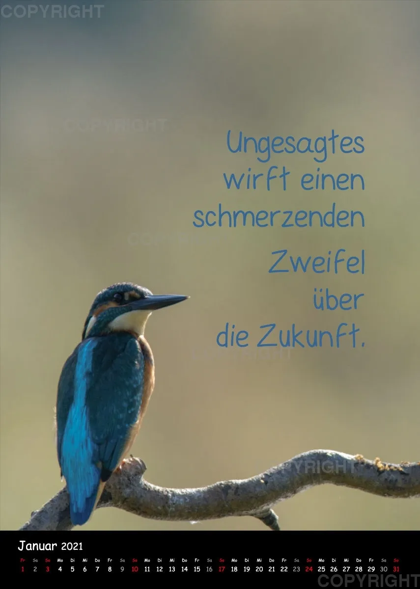 Fotokalender / 2021