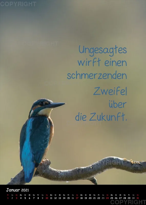 Fotokalender / 2021