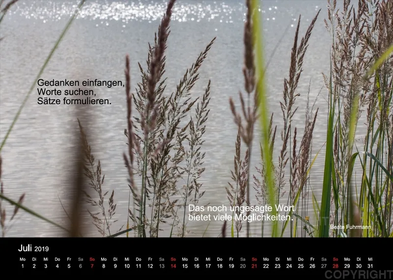 Fotokalender 2019