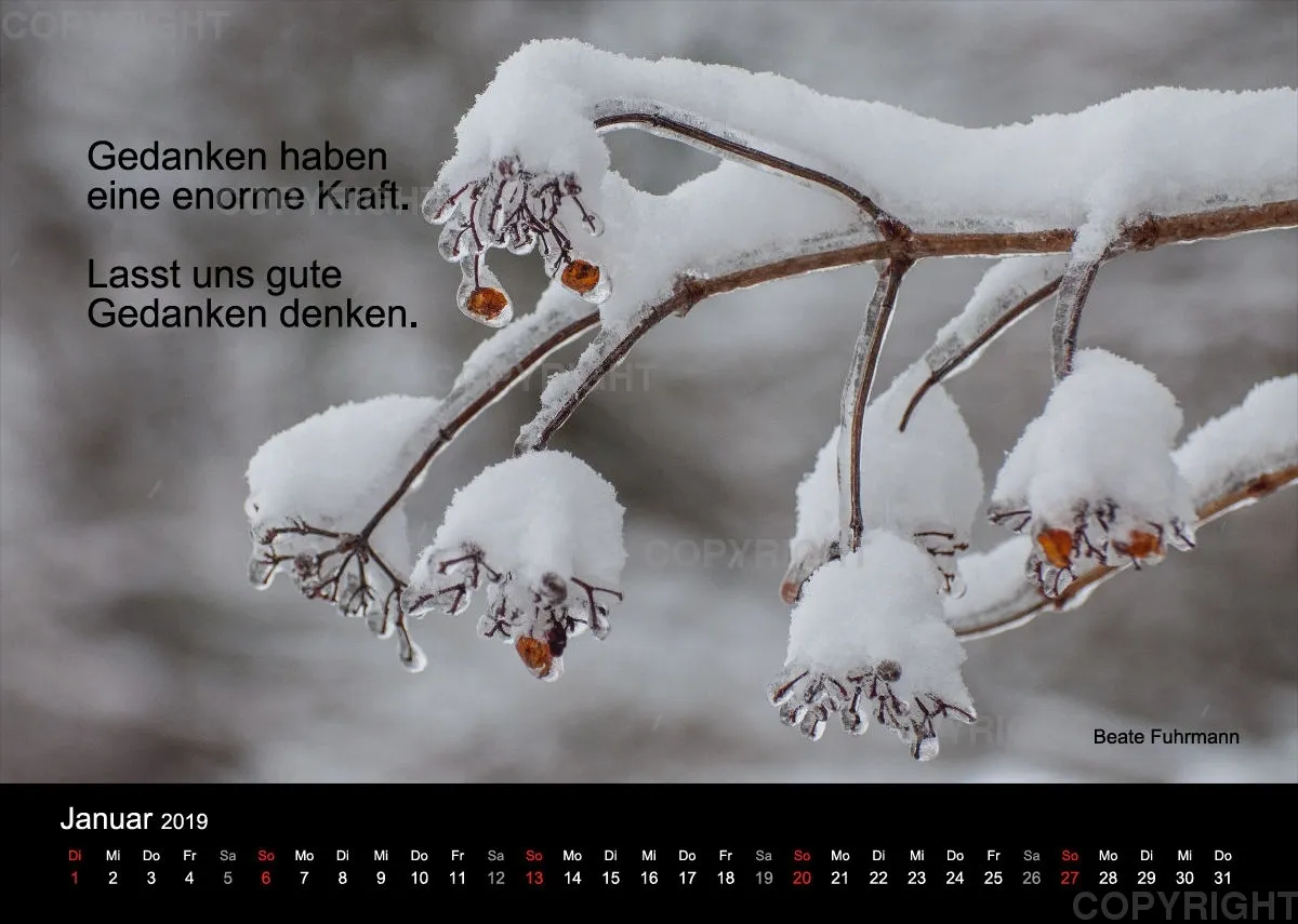 Fotokalender 2019