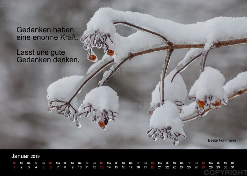 Fotokalender 2019