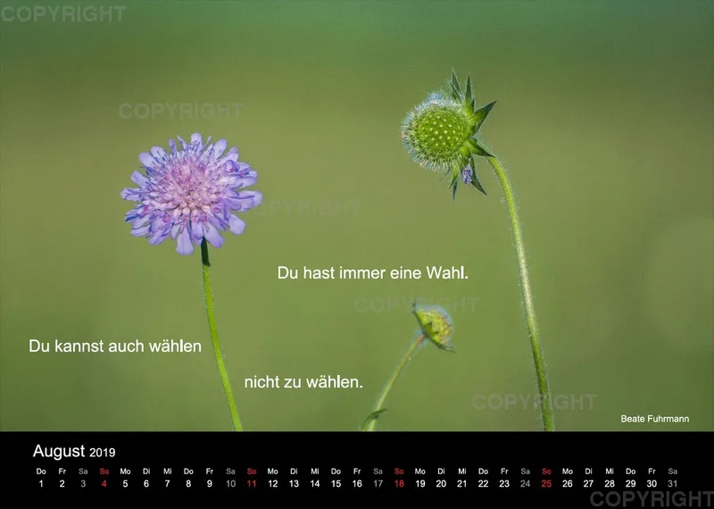Fotokalender 2019
