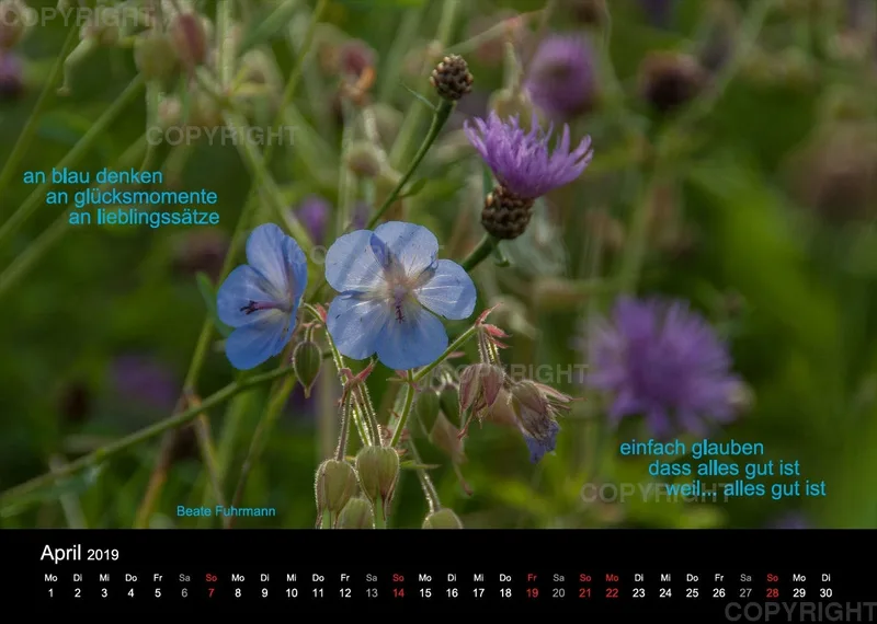 Fotokalender 2019