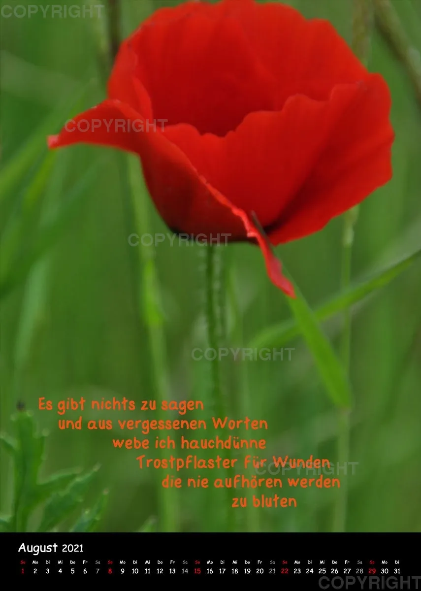 Fotokalender / 2021