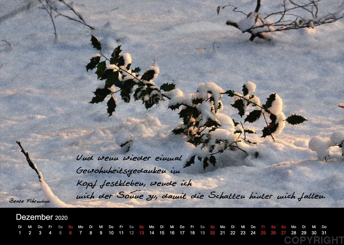 Fotokalender 2020