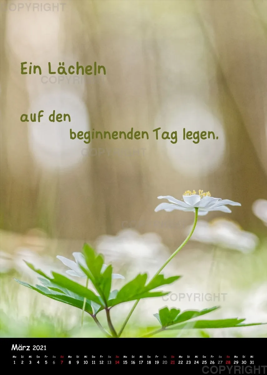 Fotokalender / 2021