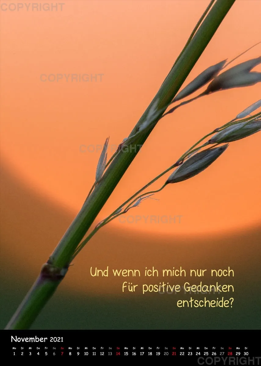 Fotokalender / 2021