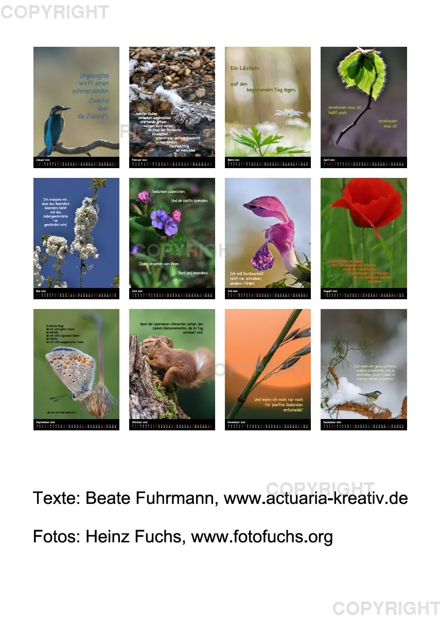 Fotokalender / 2021