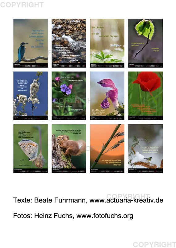 Fotokalender / 2021
